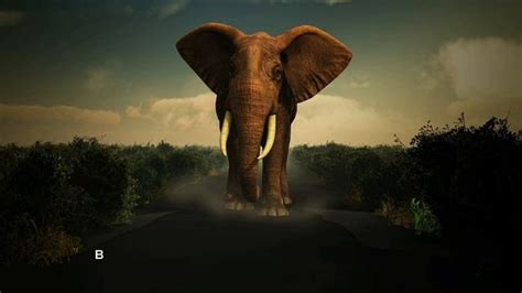 Почему слоны?
 2024.03.28 22:58 смотреть онлайн.
